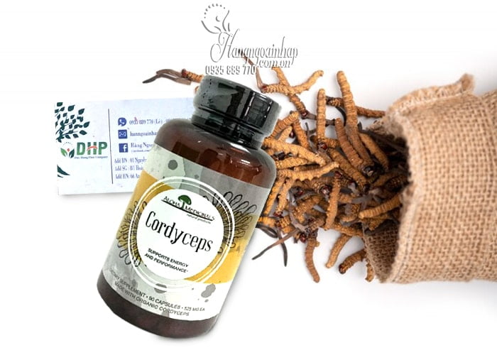 Đông Trùng Hạ Thảo Aloha Pure Cordyceps 90 Viên của Mỹ 2 Đông Trùng Hạ Thảo Aloha Pure Cordyceps 90 Viên của Mỹ 66