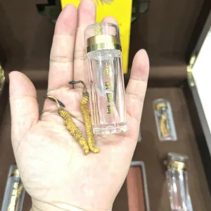 Đông Trùng Hạ Thảo Na Khúc Tây Tạng VIP - 10g (Size 40) 5 dong trung ha thao na khuc tay tang vip 10g size 40 3