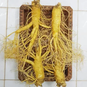 Hàng Ngoại Nhập 70 Nhân sâm tươi Hàn Quốc loại 4 củ 1 kg 01