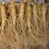 Nhân sâm tươi Hàn Quốc loại 10 củ 1 kg