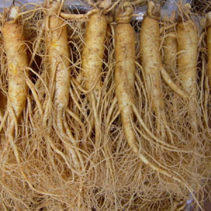 Nhân sâm tươi Hàn Quốc loại 10 củ 1 kg