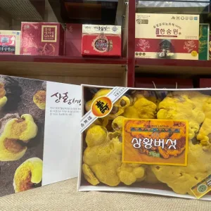Nấm Thượng Hoàng Hàn Quốc 500g là quà tặng ý nghĩa đối với sức khỏe
