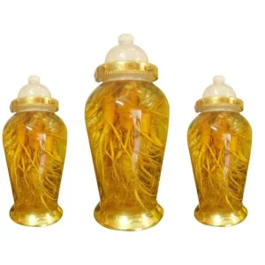 Nhân sâm tươi Hàn Quốc loại 20-40 củ 1 kg 6 nhan sam tuoi han quoc loai 20 40 cu 1 kg 03