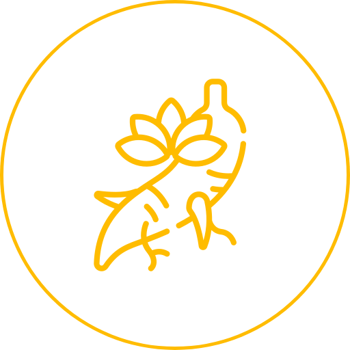 coll_1_title